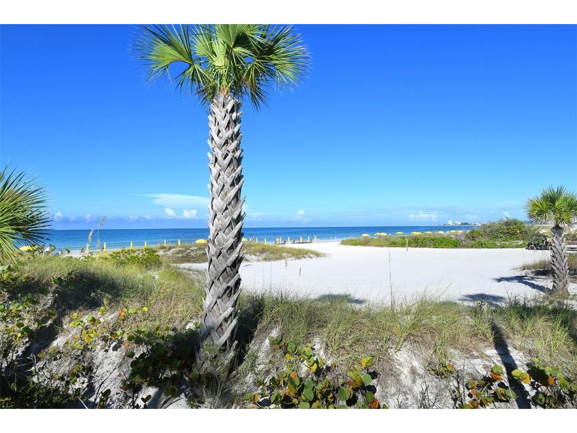 915 Seaside Drive #312 WEEKS 8-9 Sarasota FL 34242 - GULF OF MEXICO A4624333 image47