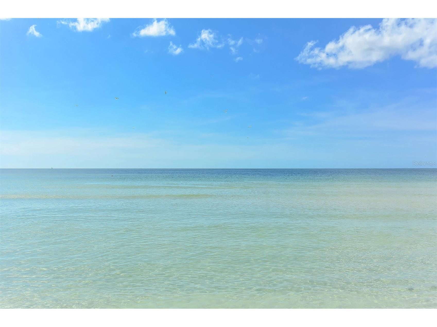 915 Seaside Drive #511 WEEKS 16-17 Sarasota FL 34242 - GULF OF MEXICO A4677773 image48