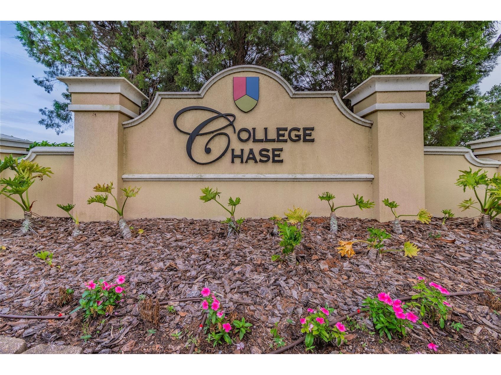 915 Windton Oak Drive Ruskin FL 33570 TB8525698 image64