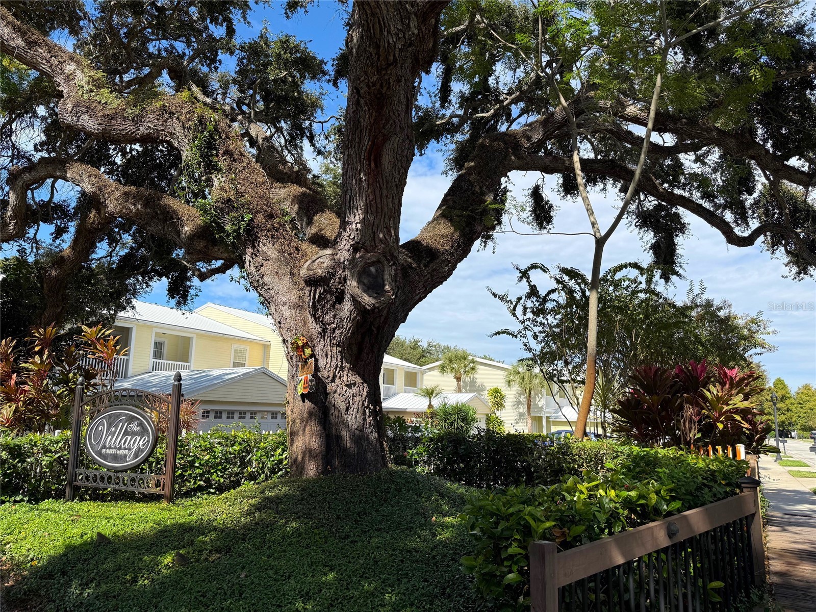 915 Woodbridge Court Safety Harbor FL 34695 TB8443368 image1