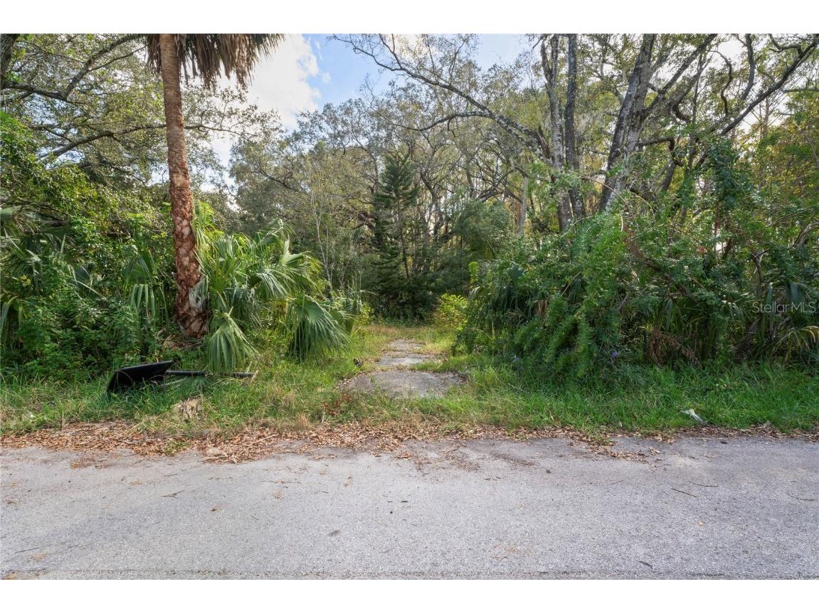 9150 Kiowa Dr New Port Richey FL 34654 W7869597 image3