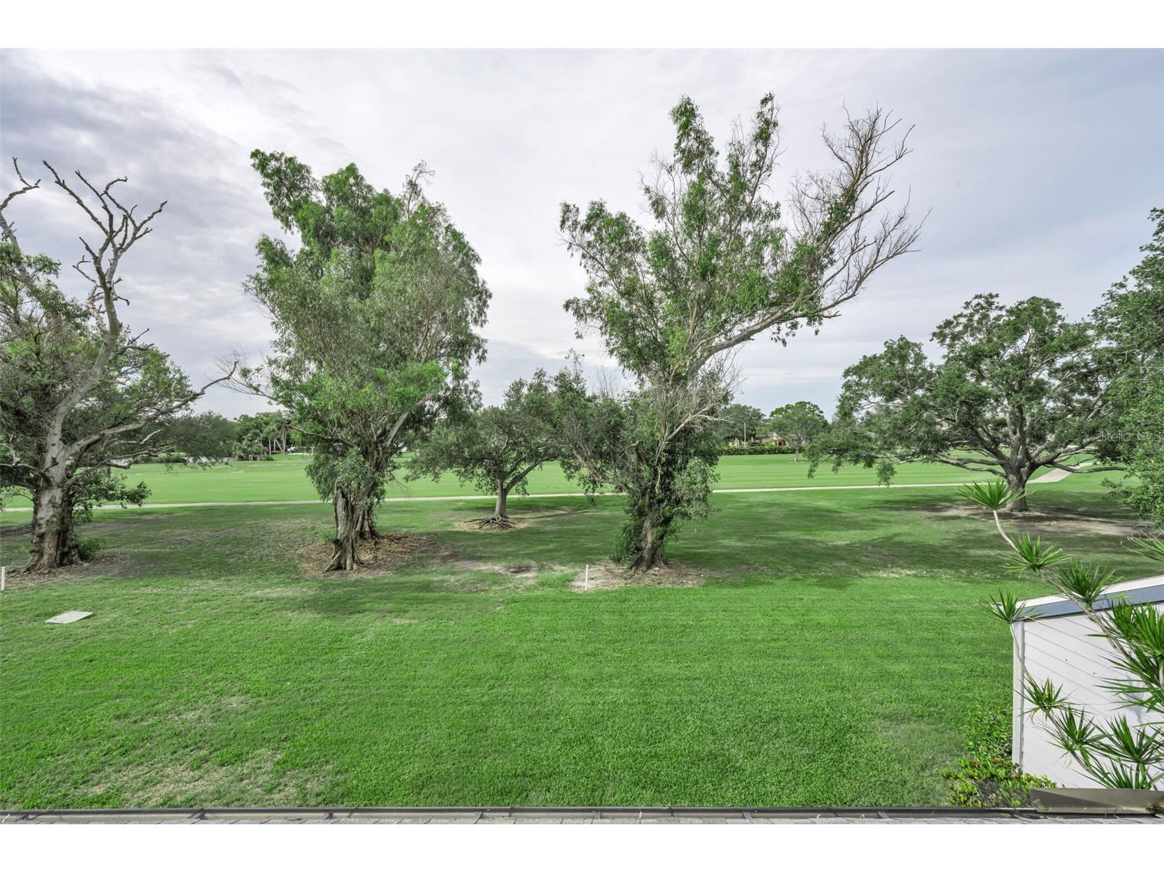 9150 Park Boulevard #6 Seminole FL 33777 TB8506883 image29