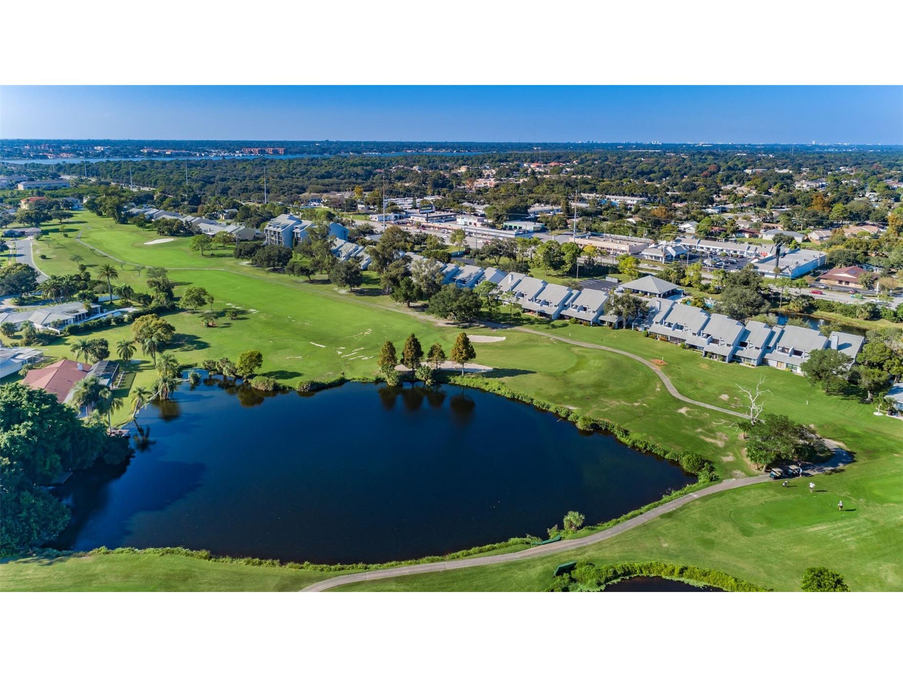 9150 Park Boulevard #6 Seminole FL 33777 TB8506883 image40