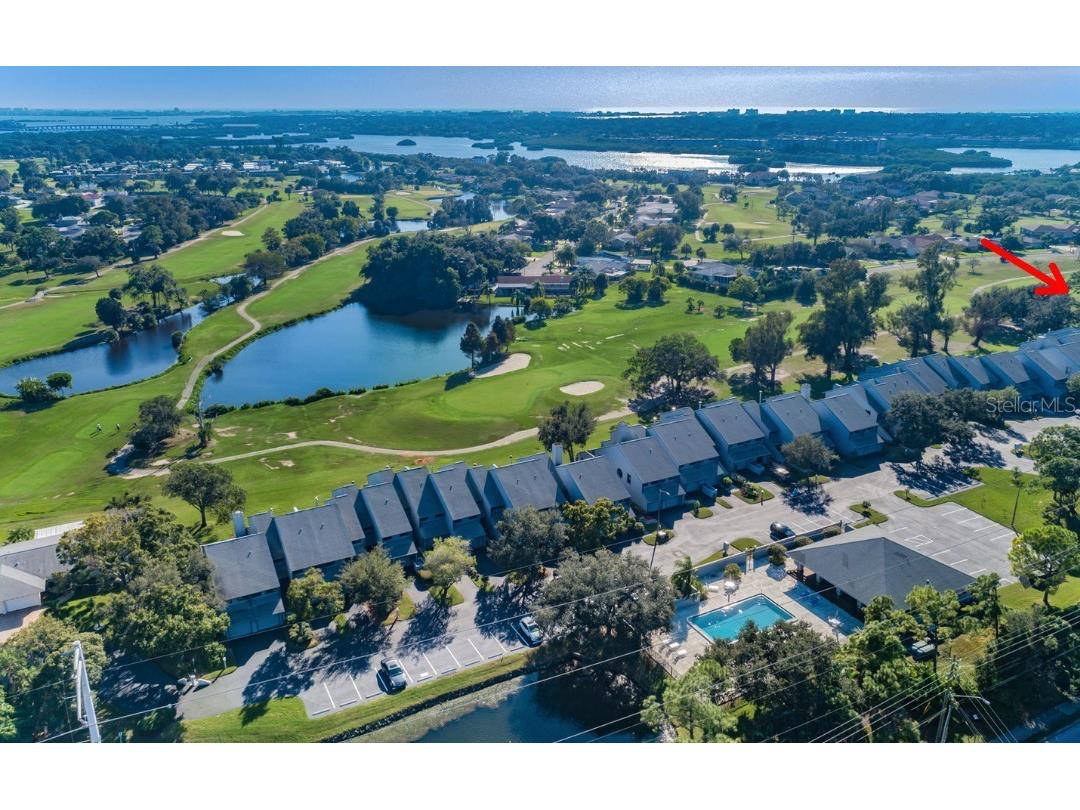9150 Park Boulevard #6 Seminole FL 33777 TB8506883 image42