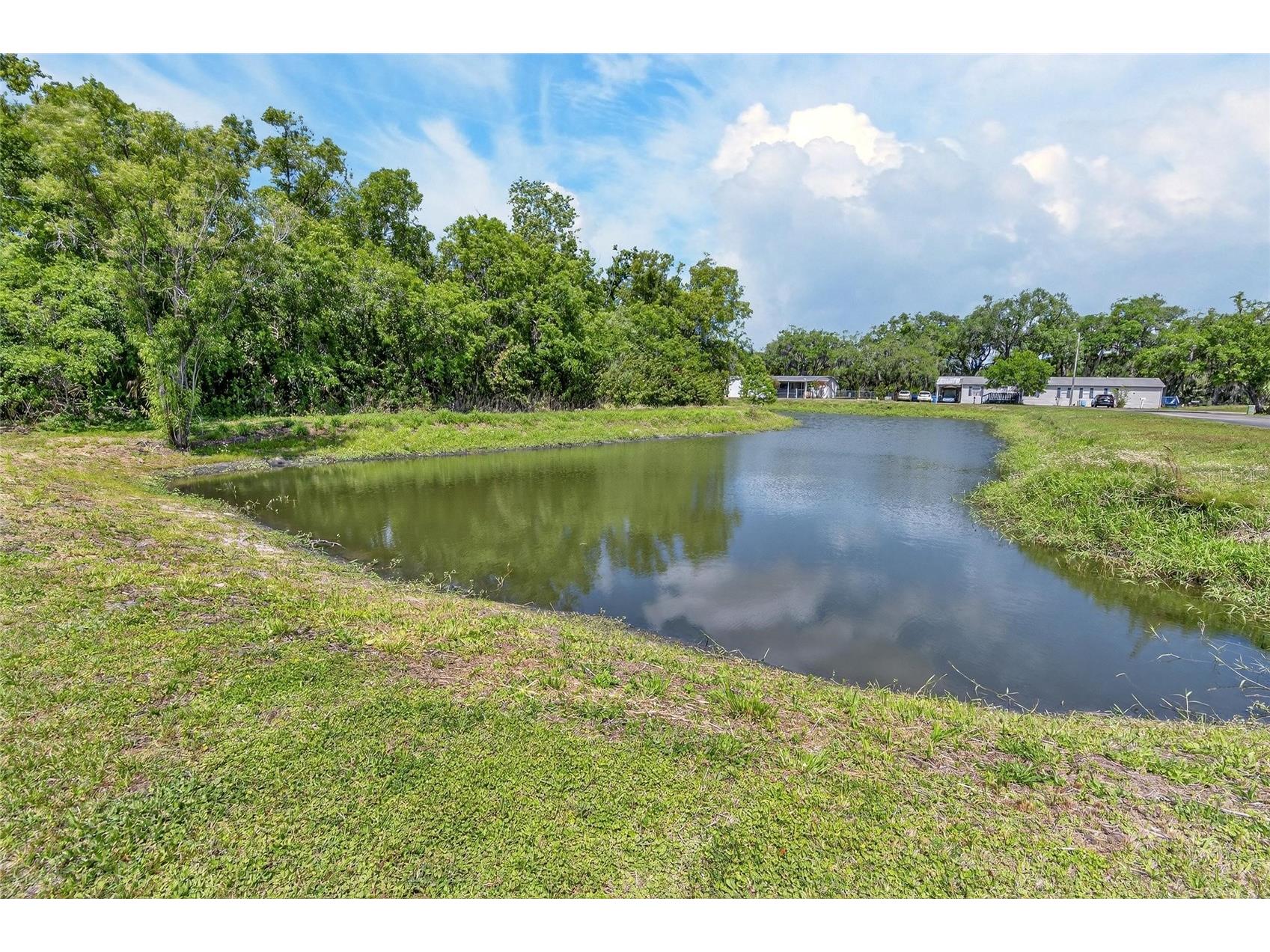 9150 Wood Terrace Drive Tampa FL 33637 TB8495694 image51