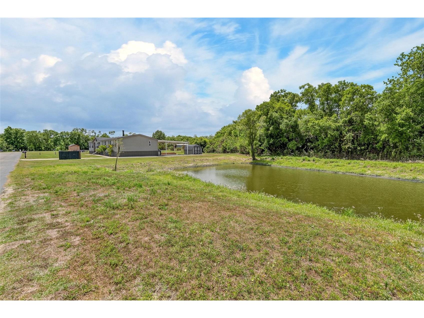 9150 Wood Terrace Drive Tampa FL 33637 TB8495694 image52