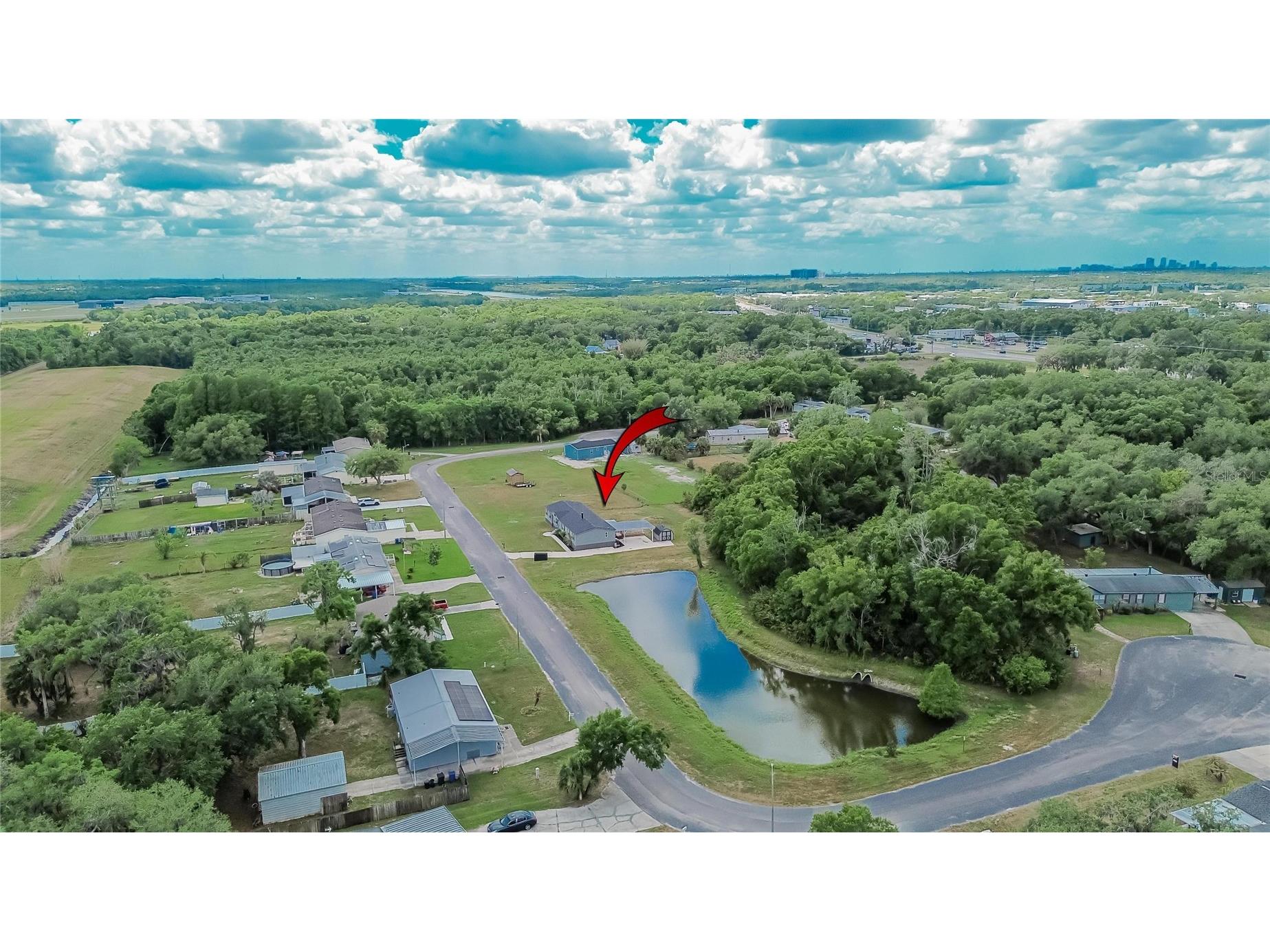 9150 Wood Terrace Drive Tampa FL 33637 TB8495694 image62