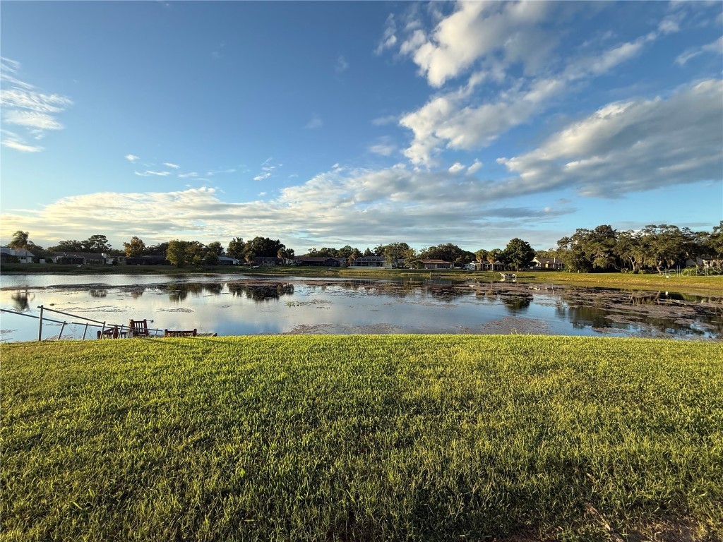 9151 Lingrove Road Weeki Wachee FL 34613 TB8433217 image17