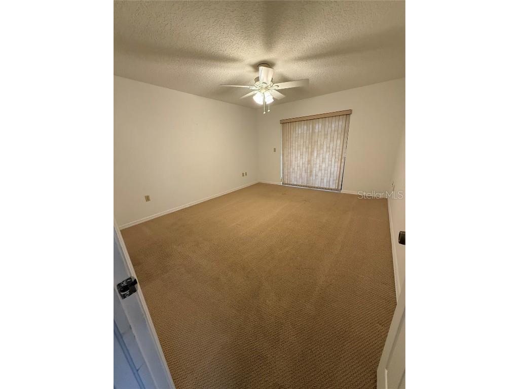 9151 Lingrove Road Weeki Wachee FL 34613 TB8433217 image7