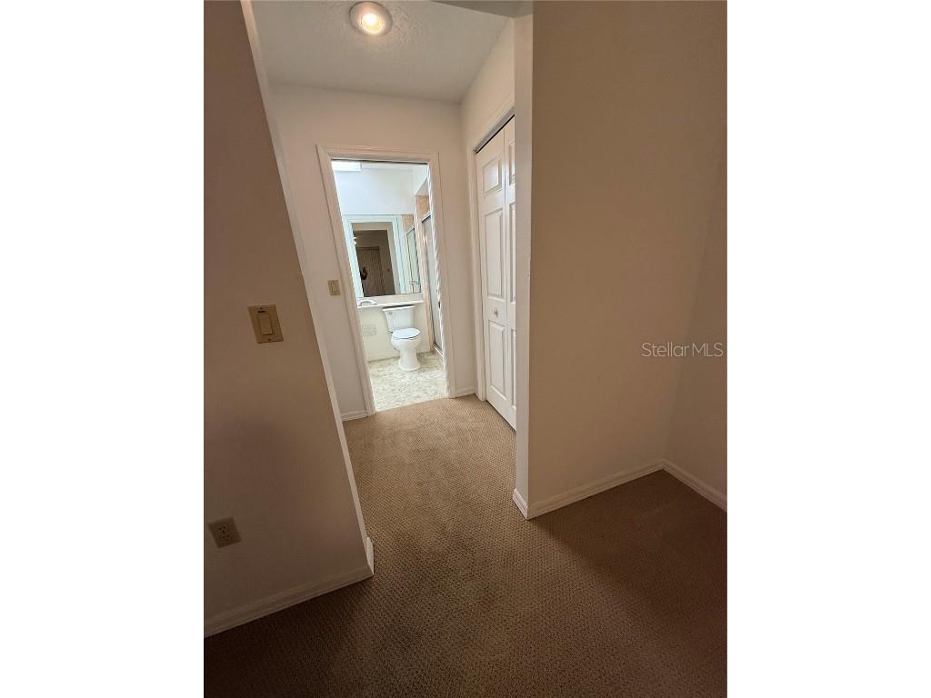 9151 Lingrove Road Weeki Wachee FL 34613 TB8433217 image8