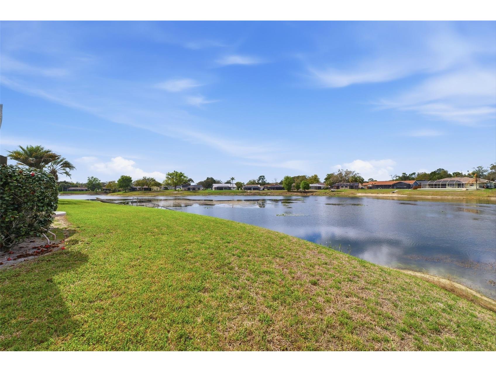 9151 Lingrove Road Weeki Wachee FL 34613 W7884220 image19