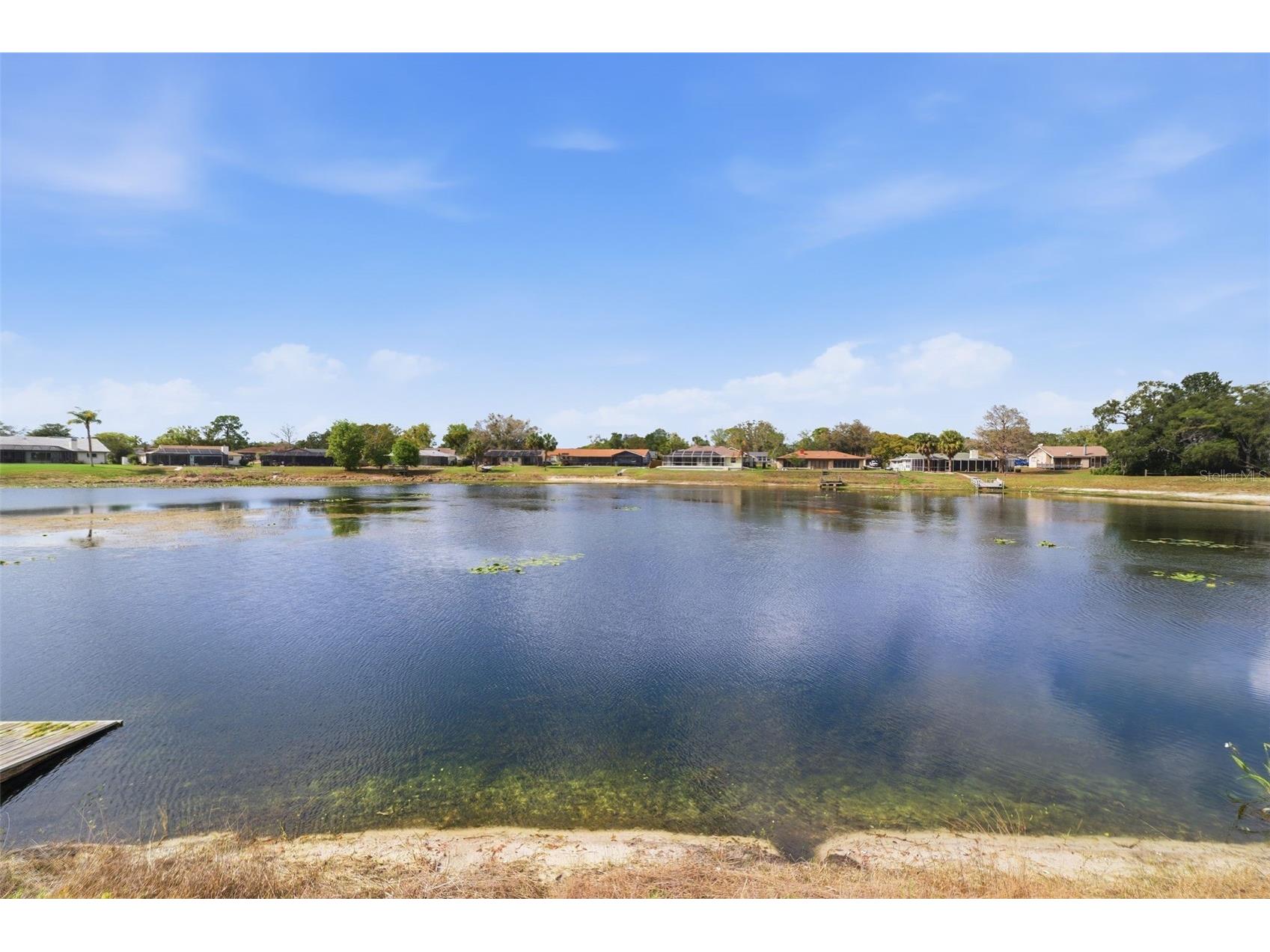 9151 Lingrove Road Weeki Wachee FL 34613 W7884220 image2