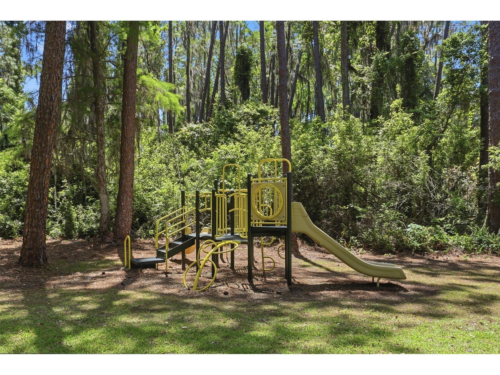 9151 Point Cypress Drive Orlando FL 32836 O6398328 image57
