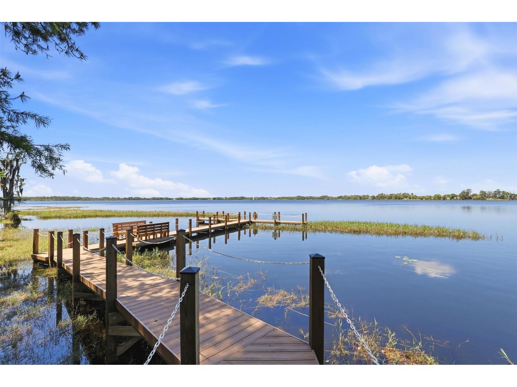 9151 Point Cypress Drive Orlando FL 32836 O6398328 image58
