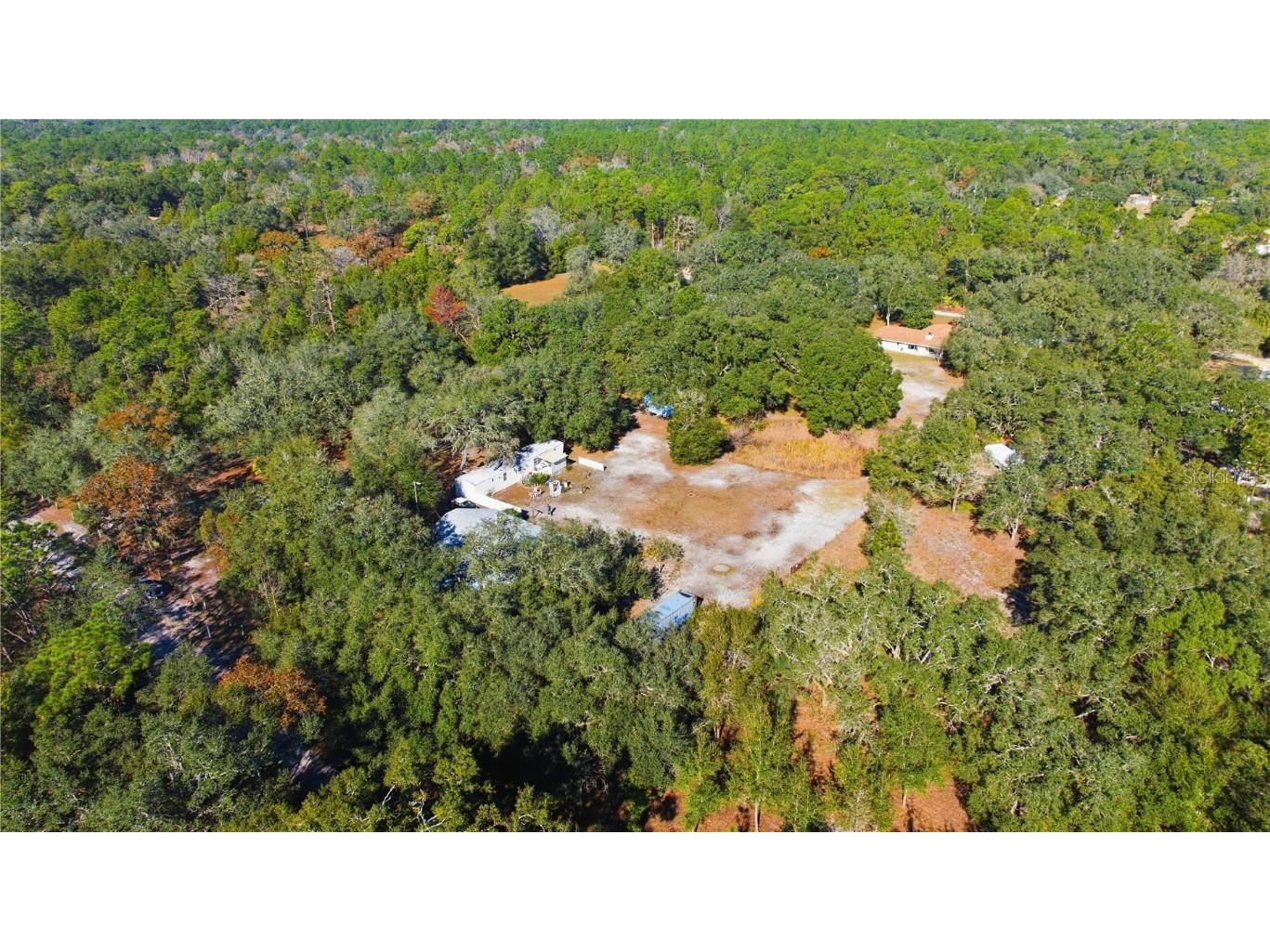 9151 SW 157th Lane Dunnellon FL 34432 OM714857 image58