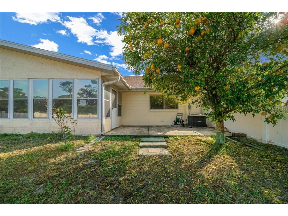 9152 SW 89th Terrace #D Ocala FL 34481 OM711249 image3