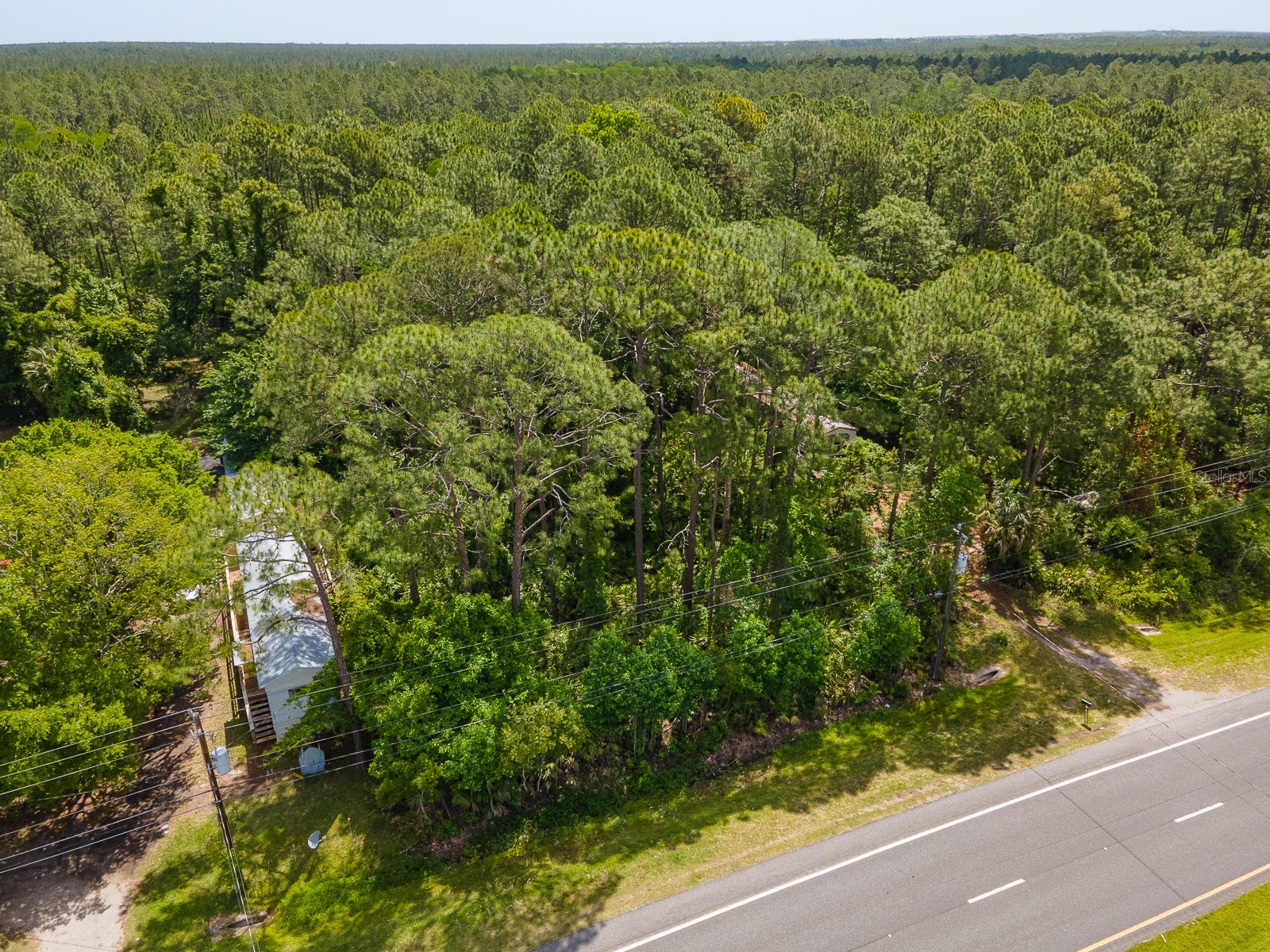 9152 U S Highway 1 Saint Augustine FL 32086 FC318384 image11