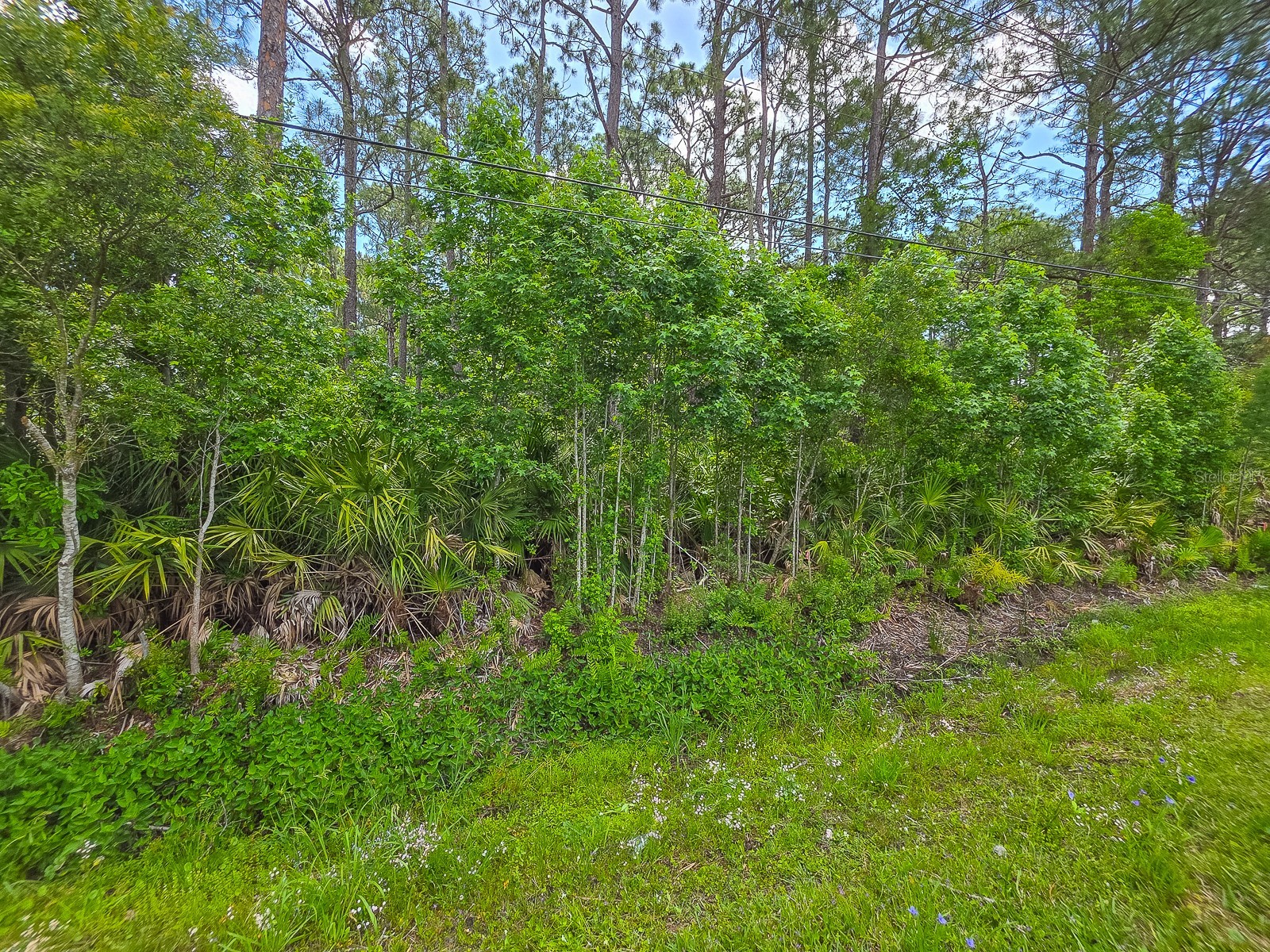 9152 U S Highway 1 Saint Augustine FL 32086 FC318384 image4