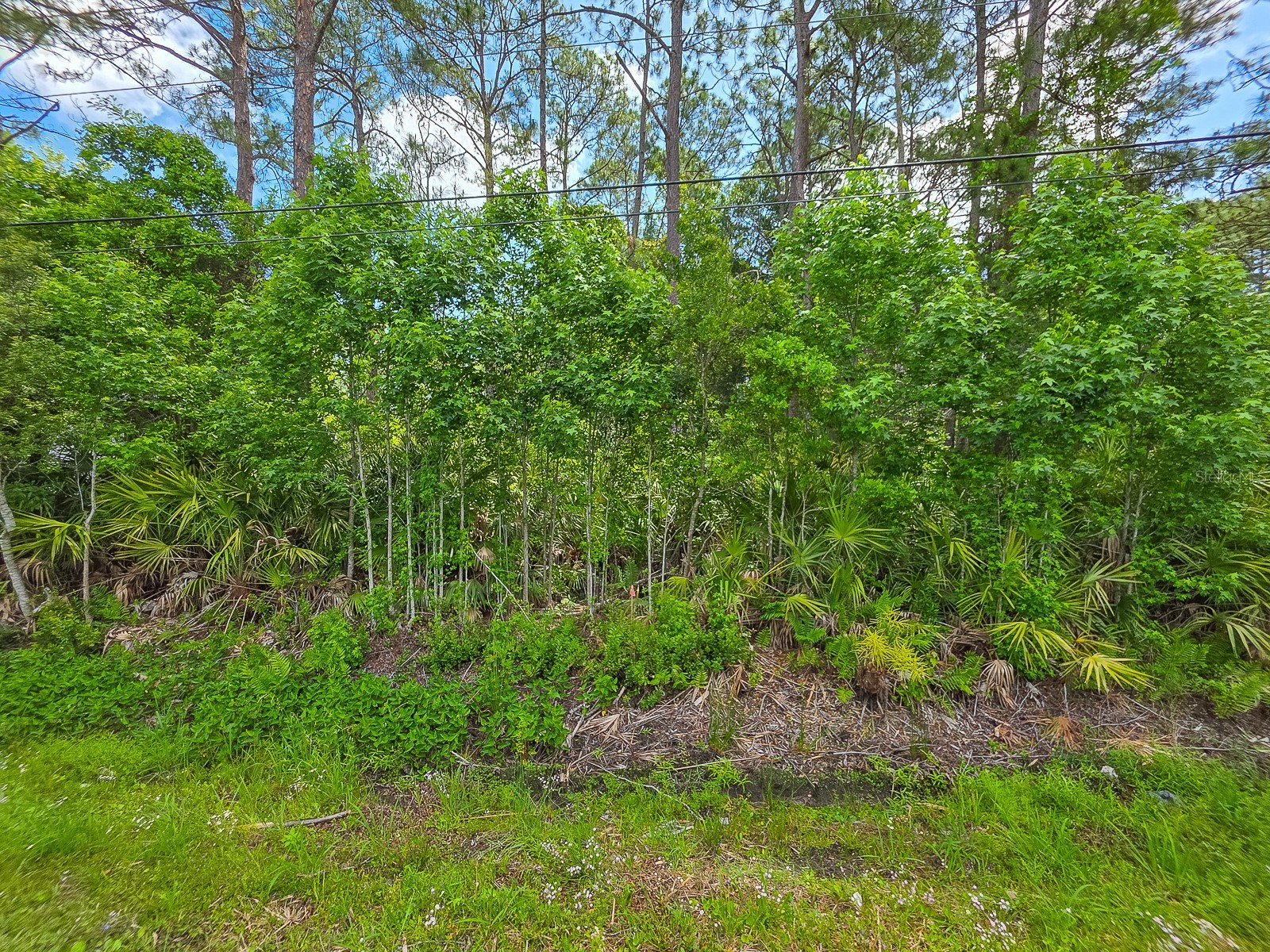 9152 U S Highway 1 Saint Augustine FL 32086 FC318384 image5