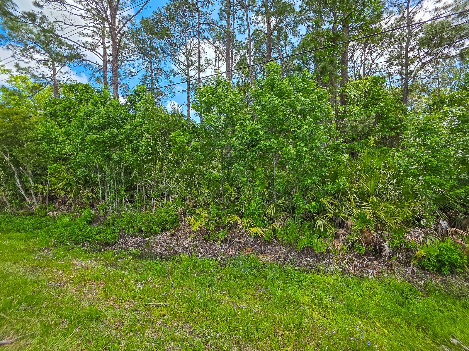 9152 U S Highway 1 Saint Augustine FL 32086 FC318384 image6