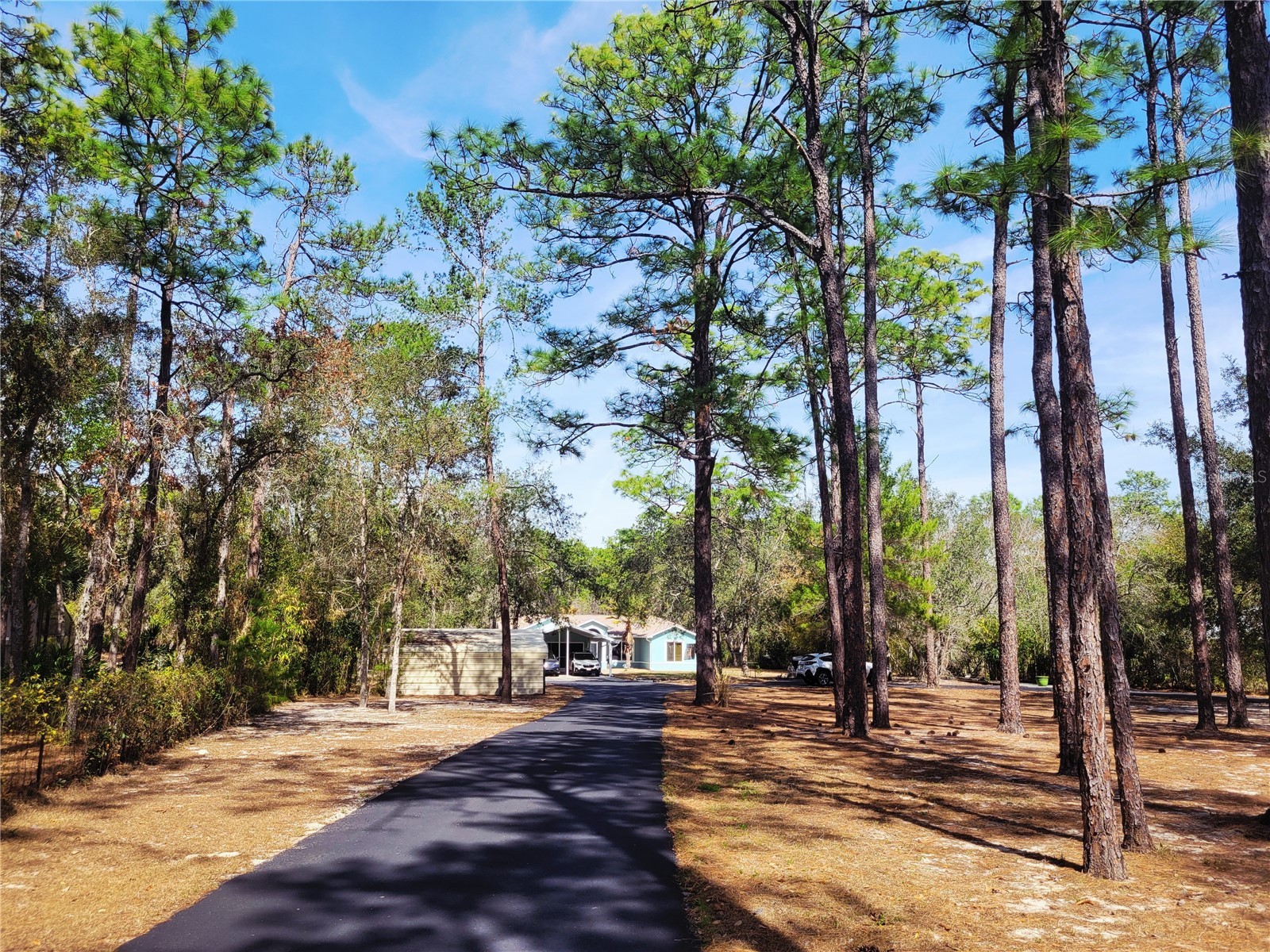 9153 Michigan Avenue Weeki Wachee FL 34613 TB8478381 image4