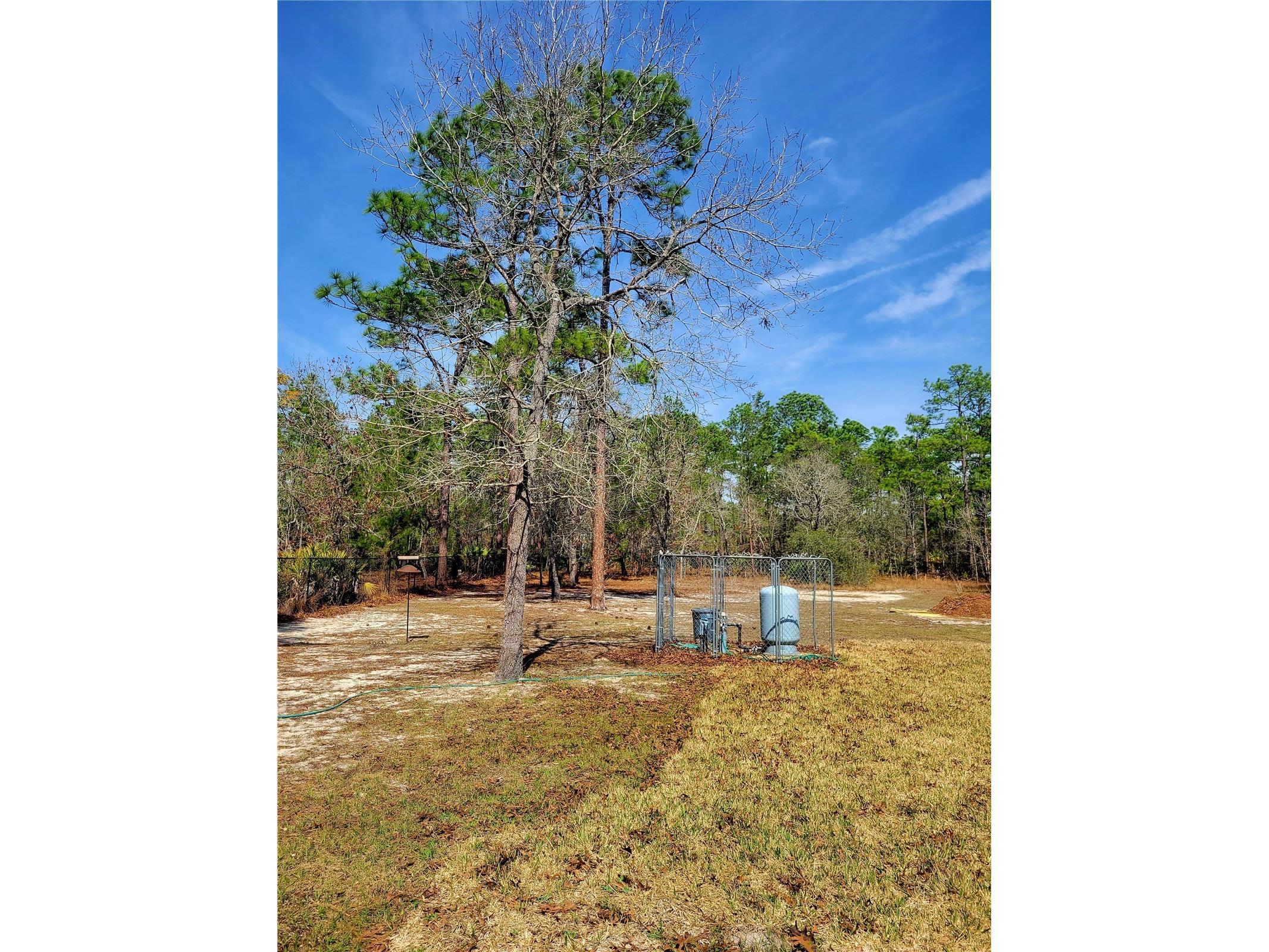 9153 Michigan Avenue Weeki Wachee FL 34613 TB8478381 image66