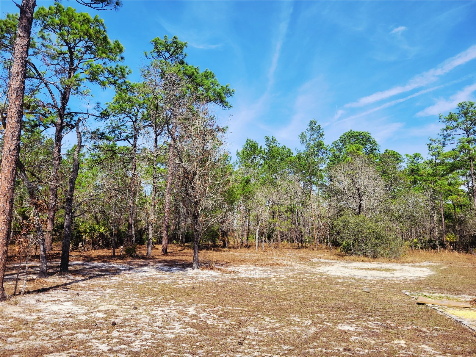 9153 Michigan Avenue Weeki Wachee FL 34613 TB8478381 image67