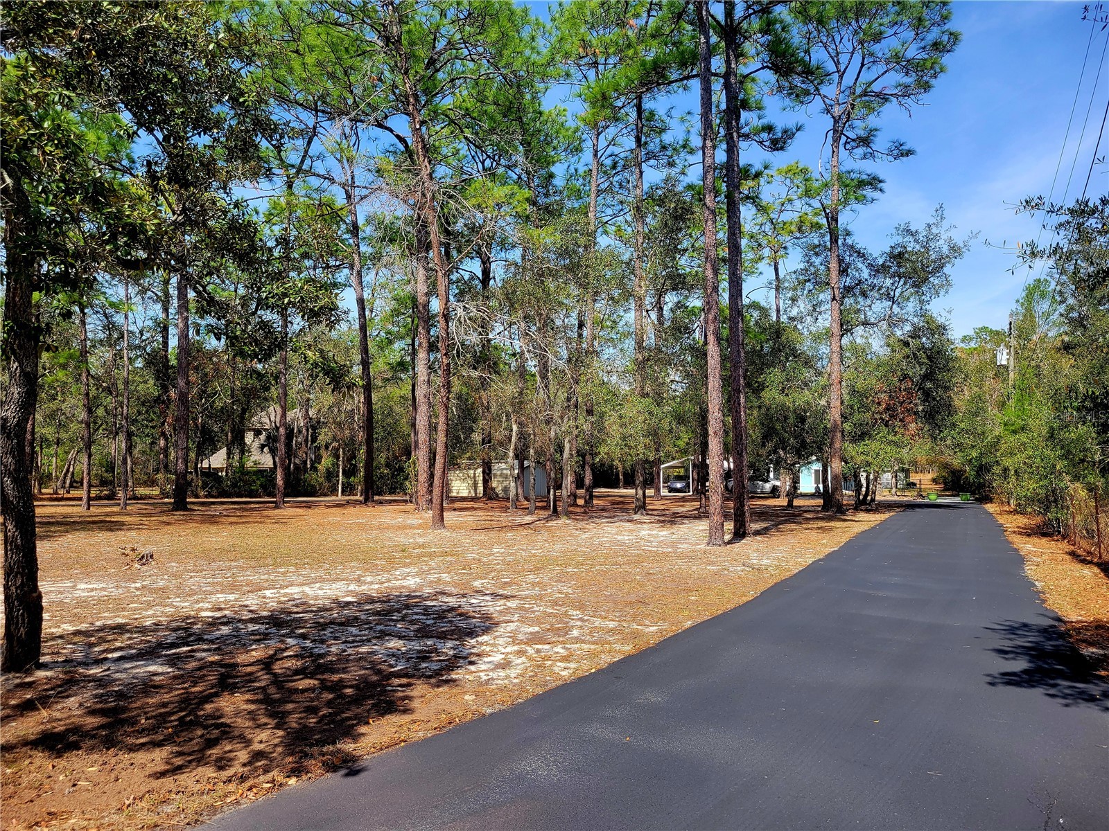 9153 Michigan Avenue Weeki Wachee FL 34613 TB8478381 image76