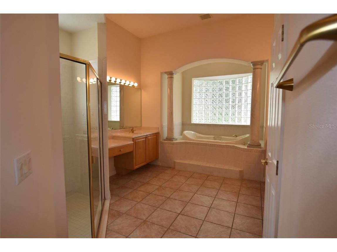 9153 Phillips Grove Terrace Orlando FL 32836 O6308654 image23