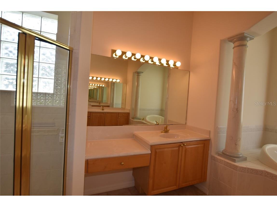 9153 Phillips Grove Terrace Orlando FL 32836 O6308654 image25