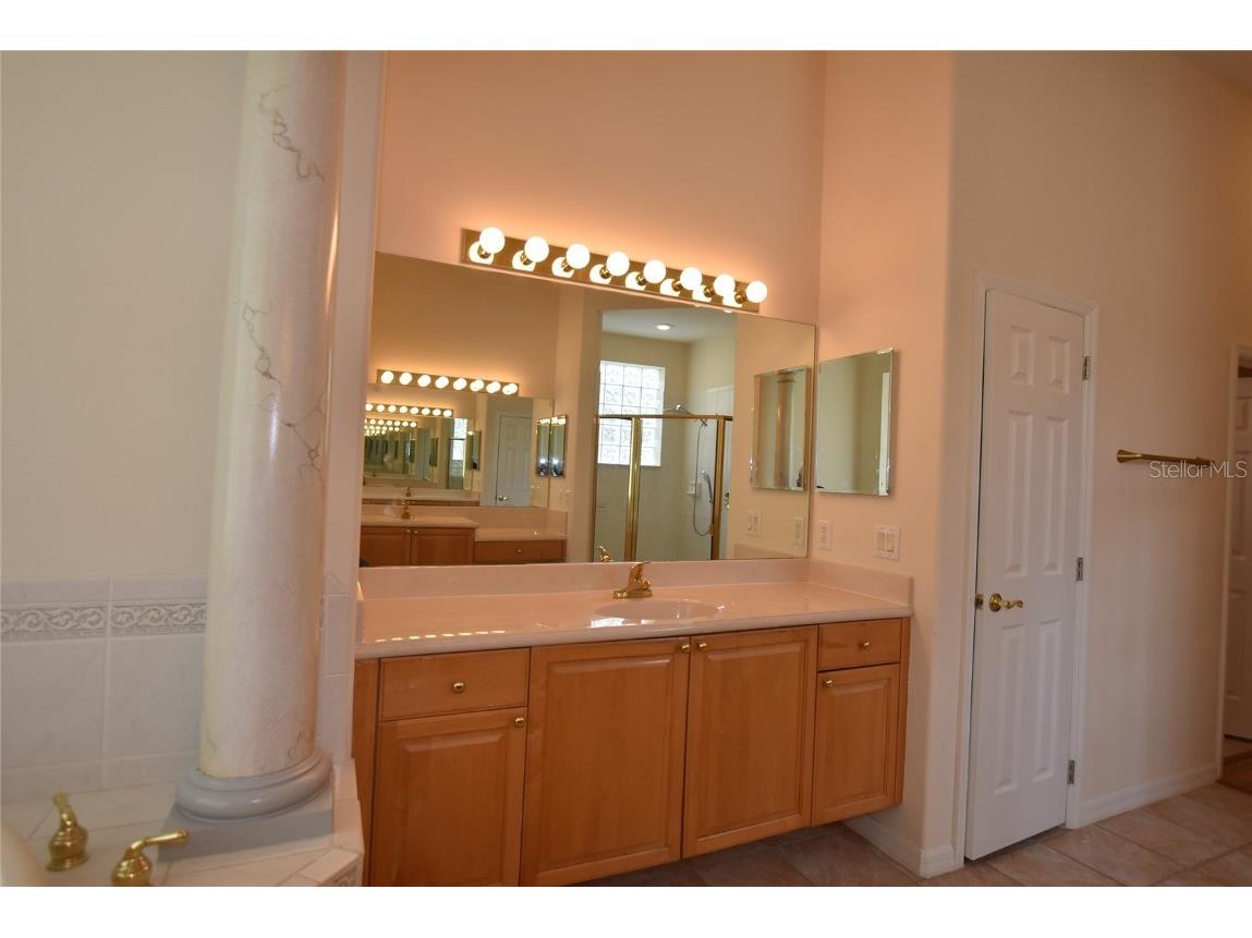 9153 Phillips Grove Terrace Orlando FL 32836 O6308654 image26