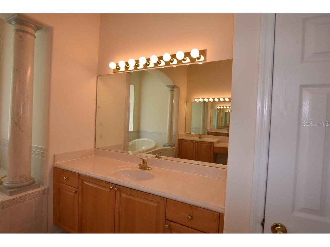 9153 Phillips Grove Terrace Orlando FL 32836 O6308654 image27