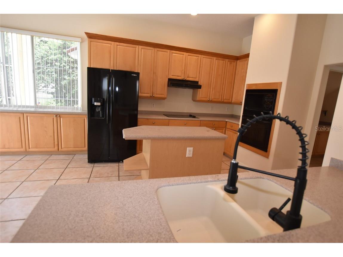 9153 Phillips Grove Terrace Orlando FL 32836 O6308654 image3