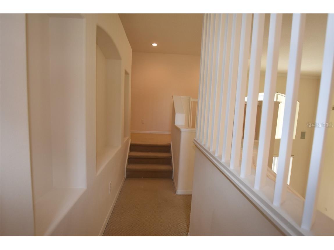 9153 Phillips Grove Terrace Orlando FL 32836 O6308654 image35