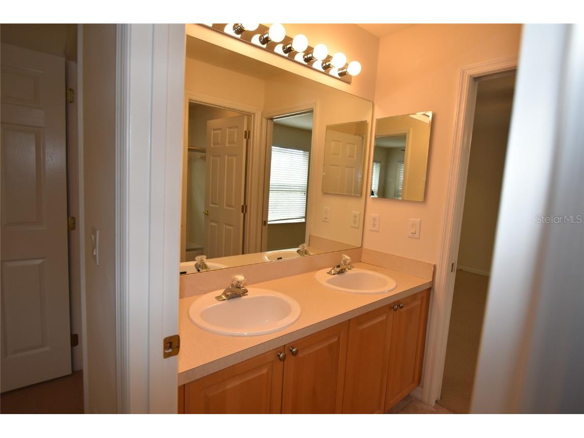 9153 Phillips Grove Terrace Orlando FL 32836 O6308654 image48