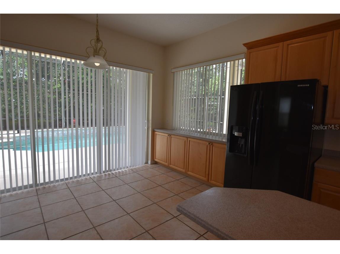 9153 Phillips Grove Terrace Orlando FL 32836 O6308654 image5