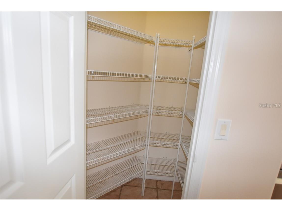 9153 Phillips Grove Terrace Orlando FL 32836 O6308654 image52