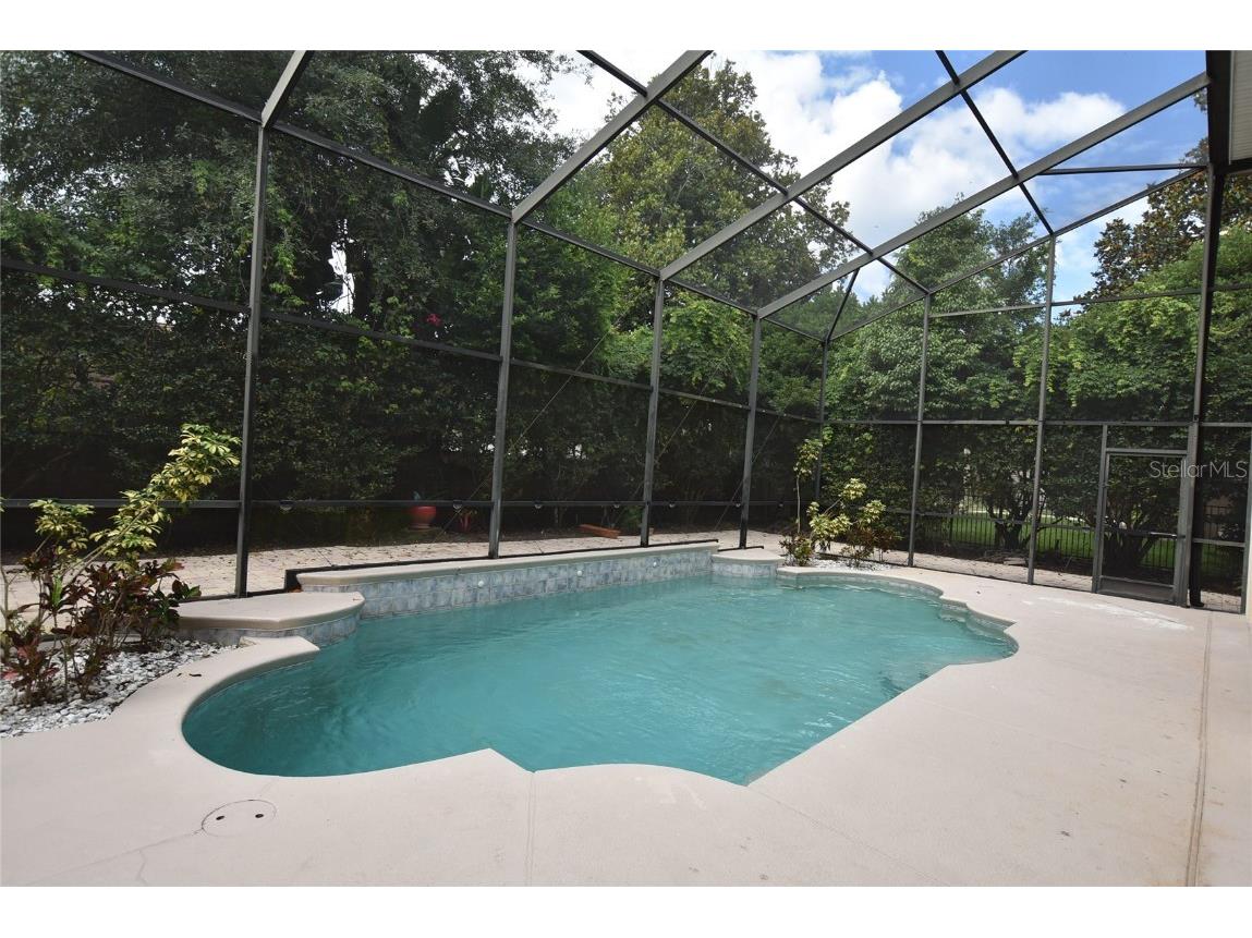 9153 Phillips Grove Terrace Orlando FL 32836 O6308654 image53