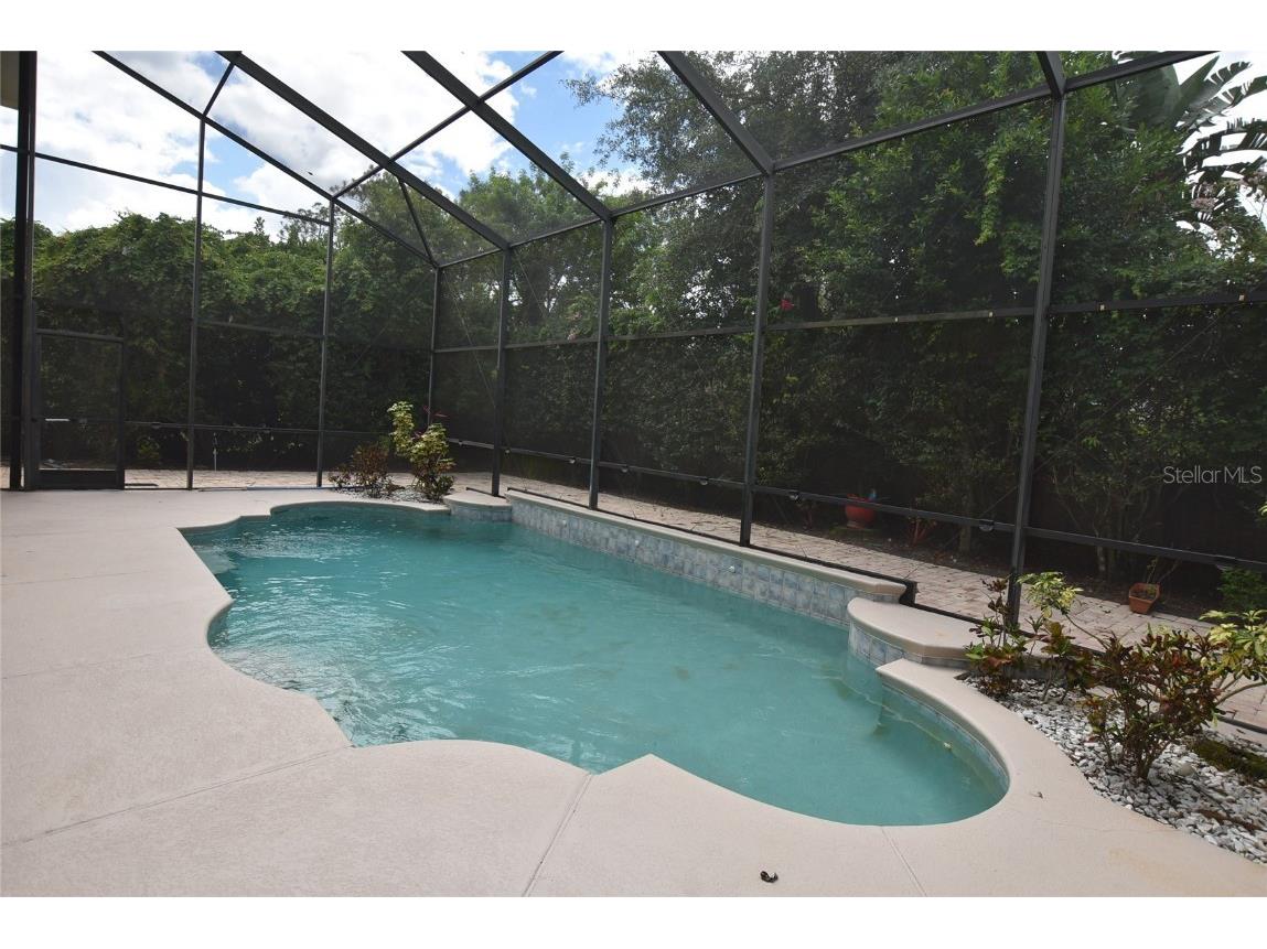 9153 Phillips Grove Terrace Orlando FL 32836 O6308654 image54