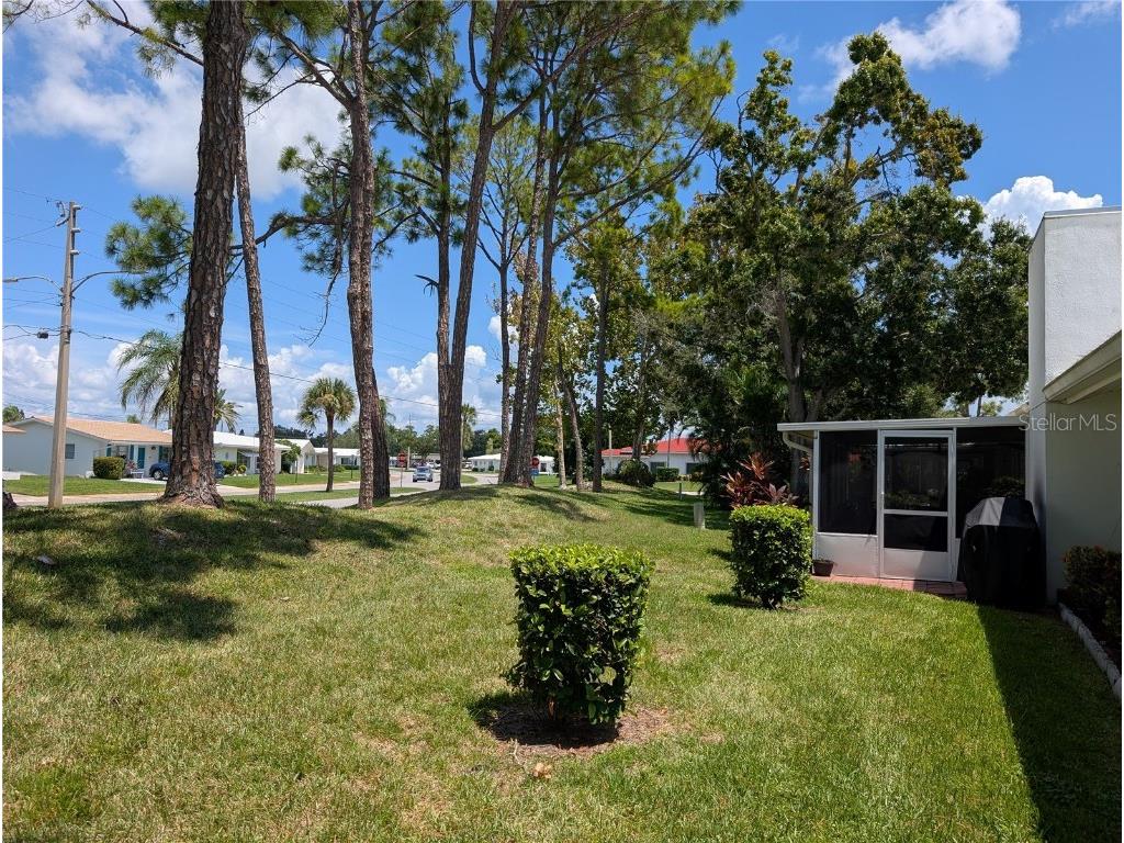 9154 42nd Lane N #5 Pinellas Park FL 33782 TB8420169 image33