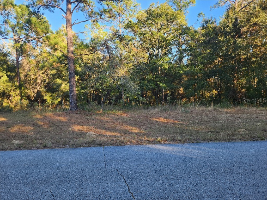 9155 N Alameda Drive Citrus Springs FL 34434 TB8326762 image1
