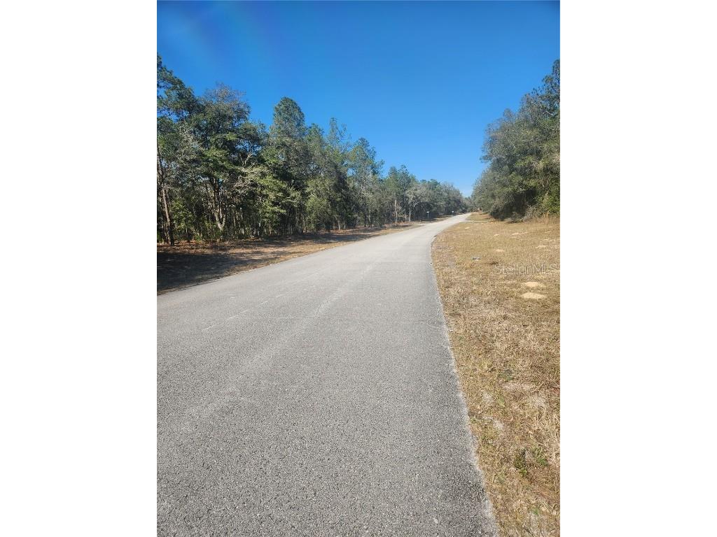 9155 N Alameda Drive Citrus Springs FL 34434 TB8326762 image2