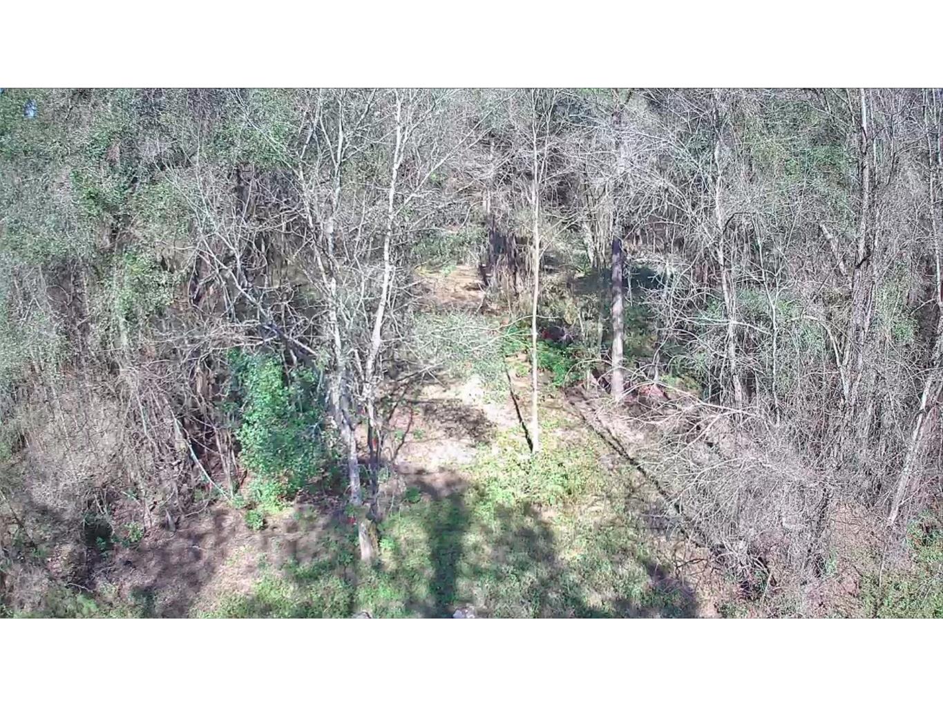 9155 N Alameda Drive Citrus Springs FL 34434 TB8326762 image5
