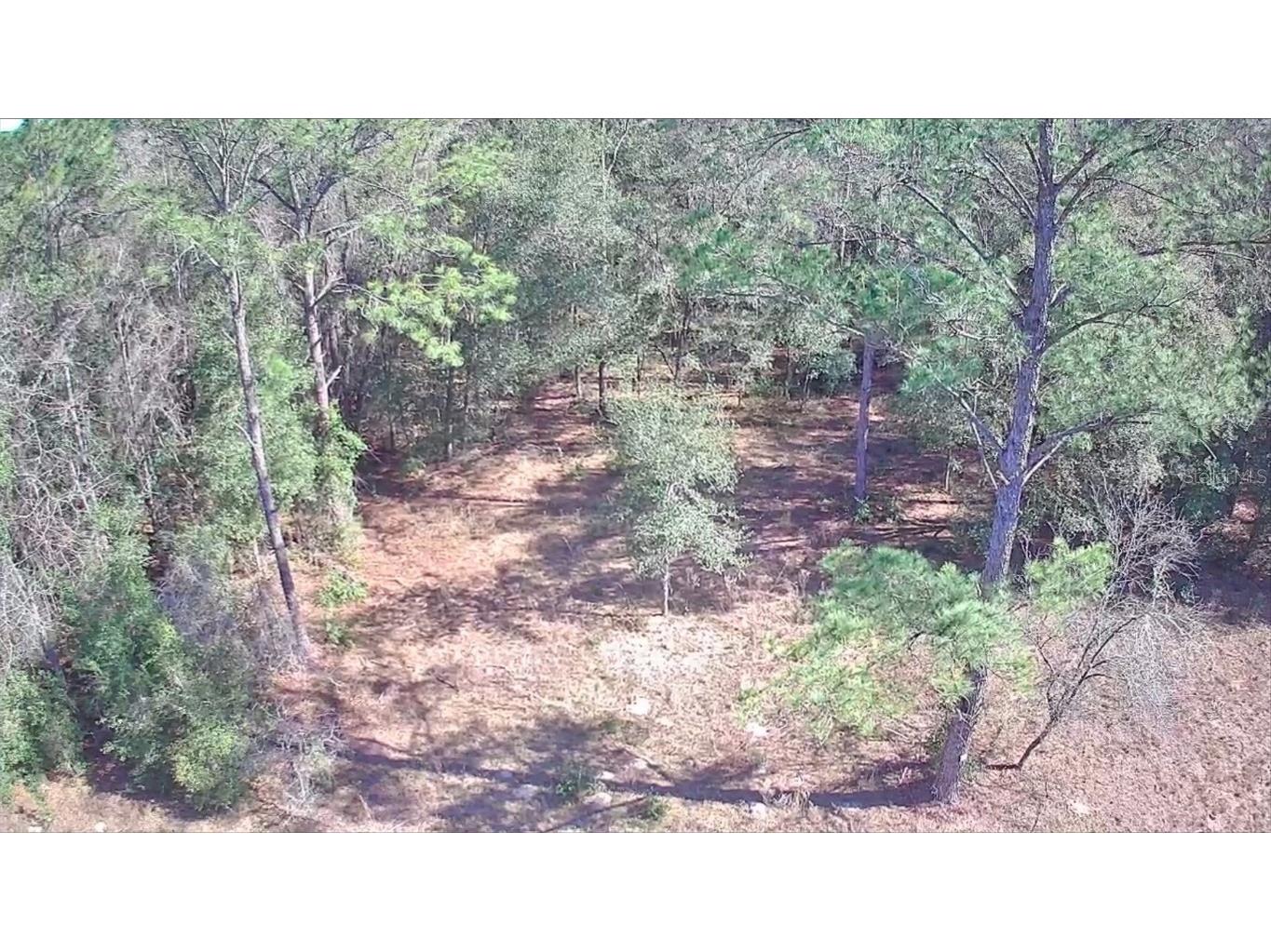 9155 N Alameda Drive Citrus Springs FL 34434 TB8326762 image6