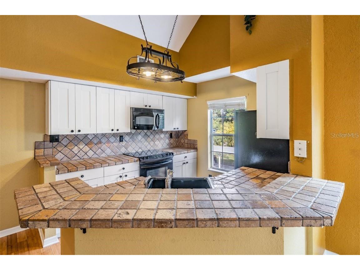 9156 Lake Chase Island Way #9156 Tampa FL 33626 TB8410171 image6