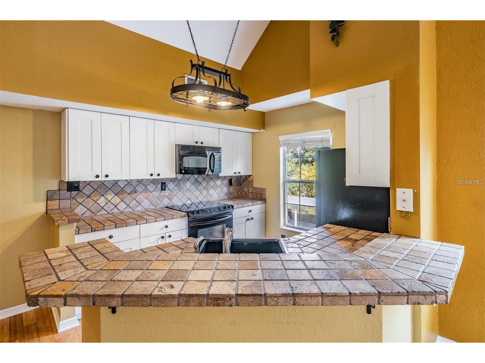 9156 Lake Chase Island Way #9156 Tampa FL 33626 TB8513667 image22
