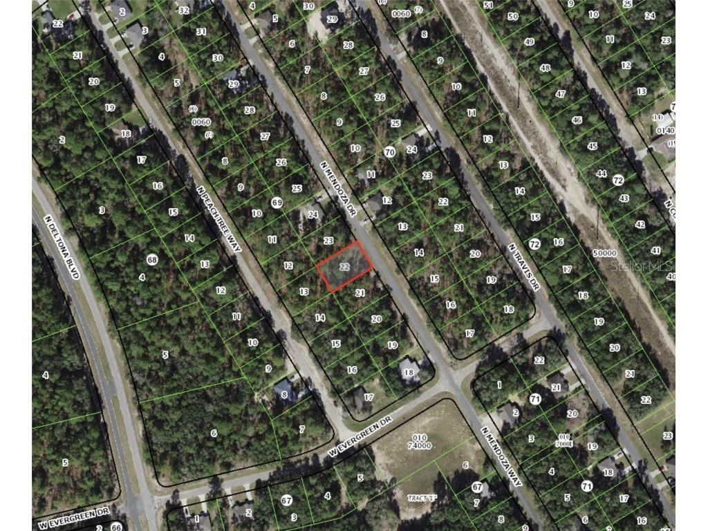 9156 N Mendoza Way Citrus Springs FL 34434 G5051004 image1