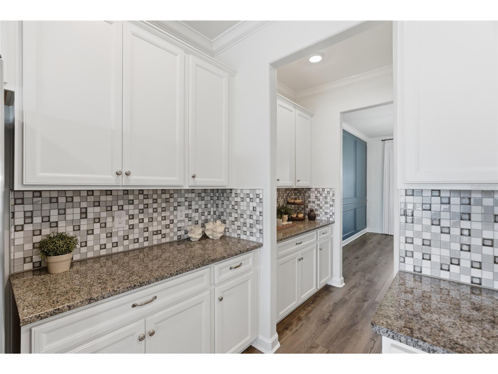 9157 Shadyside Lane Land O Lakes FL 34637 TB8501880 image10