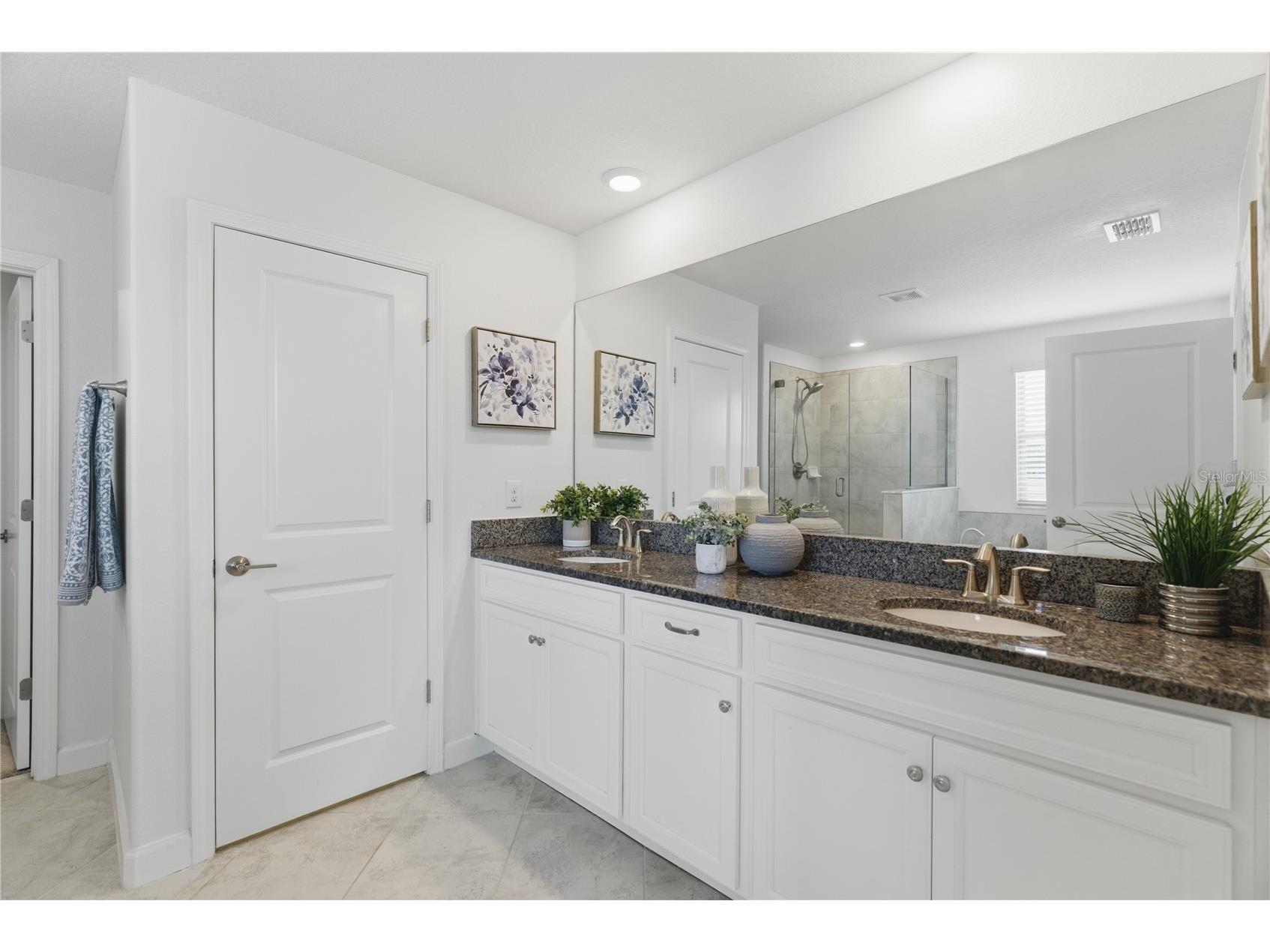 9157 Shadyside Lane Land O Lakes FL 34637 TB8501880 image31