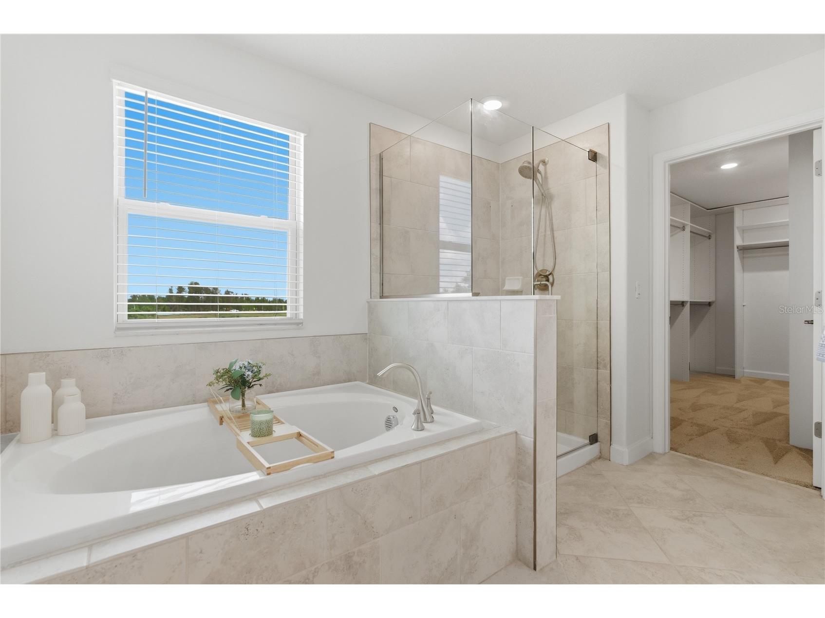 9157 Shadyside Lane Land O Lakes FL 34637 TB8501880 image33